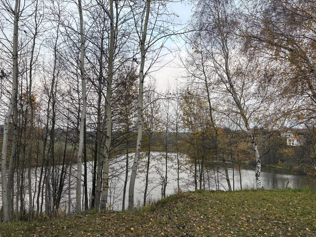 Дом с сауной и тёплым бассейном у пруда