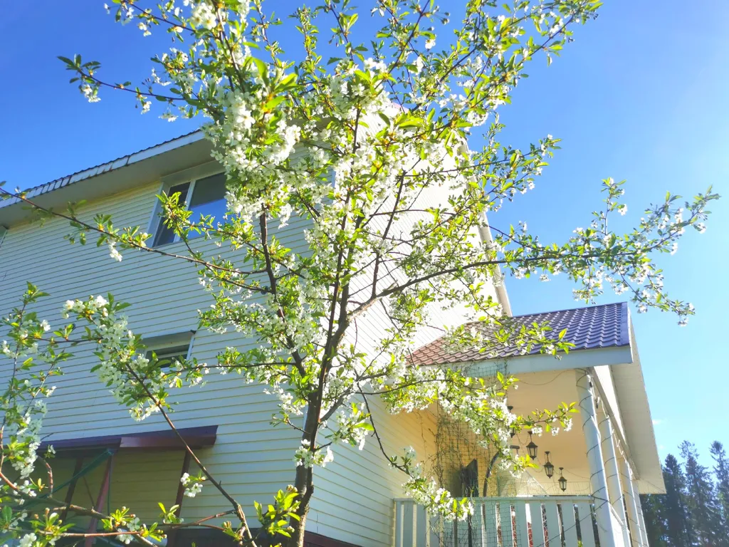 Гостевой дом Relax House