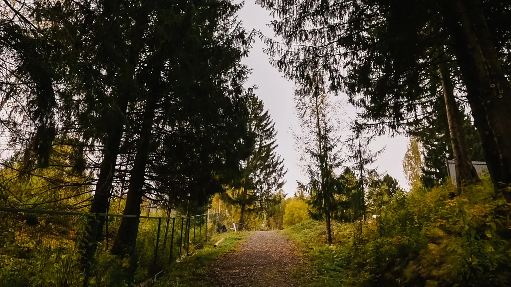 Дом с баней на берегу залива реки Чусовая База Отдыха
