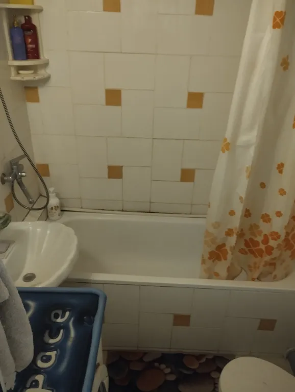 Студия с панорамой реки Волга