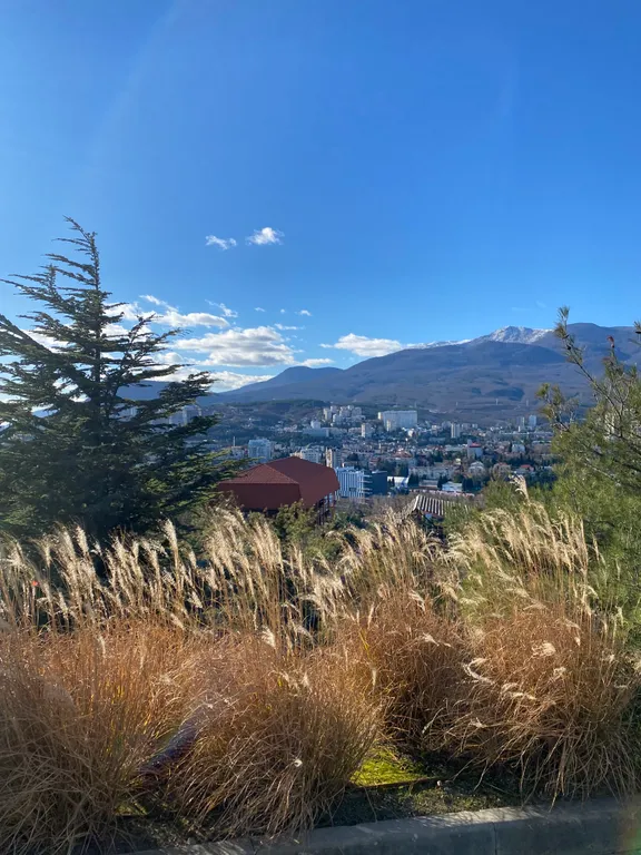 Студия с бассейном на семью с 2-3 детьми