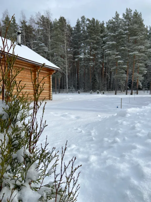 Коттедж Дом у леса — Порхово