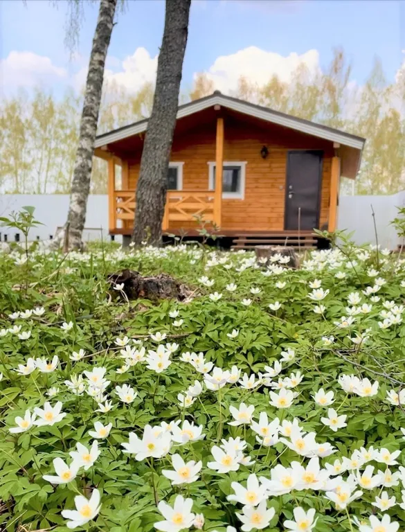 Уникальный дизайнерский дом на берегу Рузского водохранилища