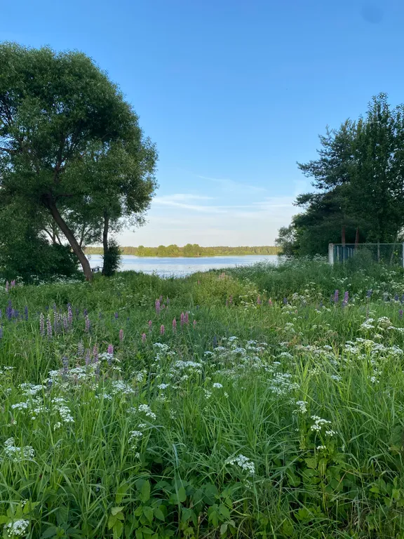 Уютный домик в лесу около реки