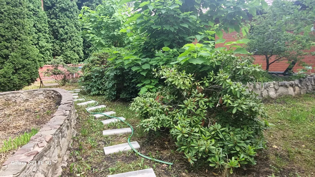 Загородный котедж