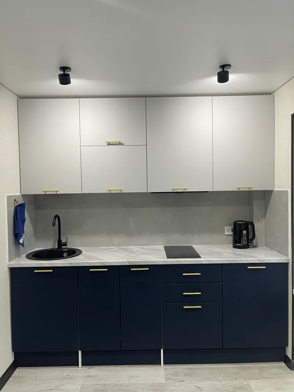 Современная квартира в центре города