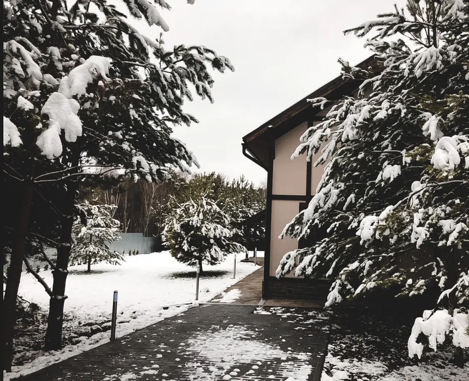 Дом в окружении соснового леса