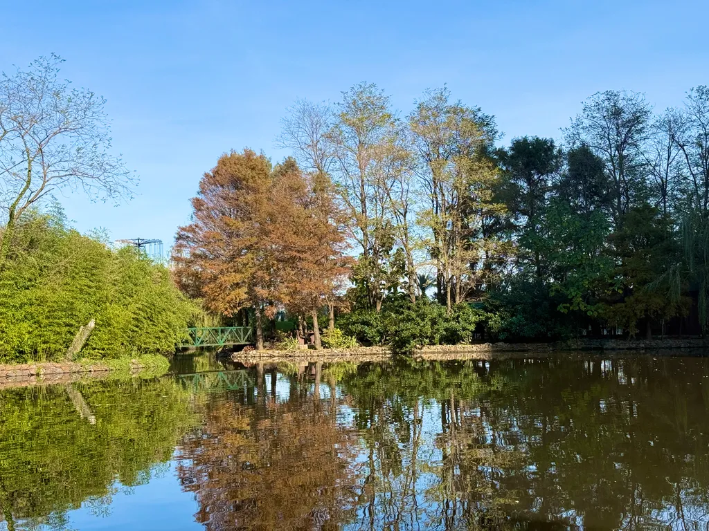 X-box and Cofee apartment in Marriott building