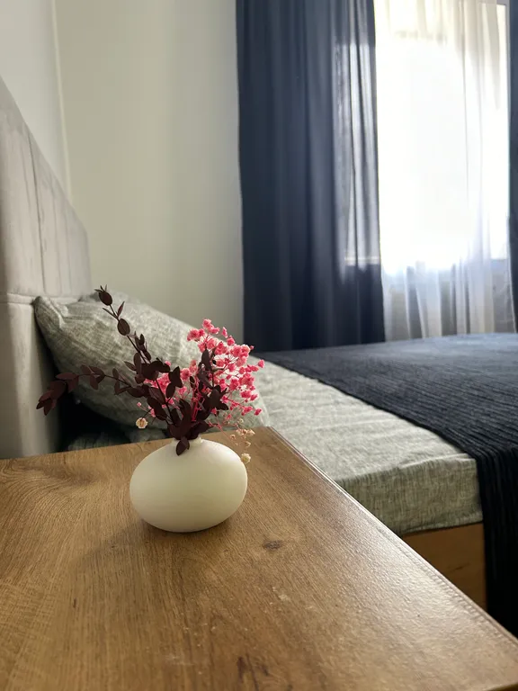 Евродвушка