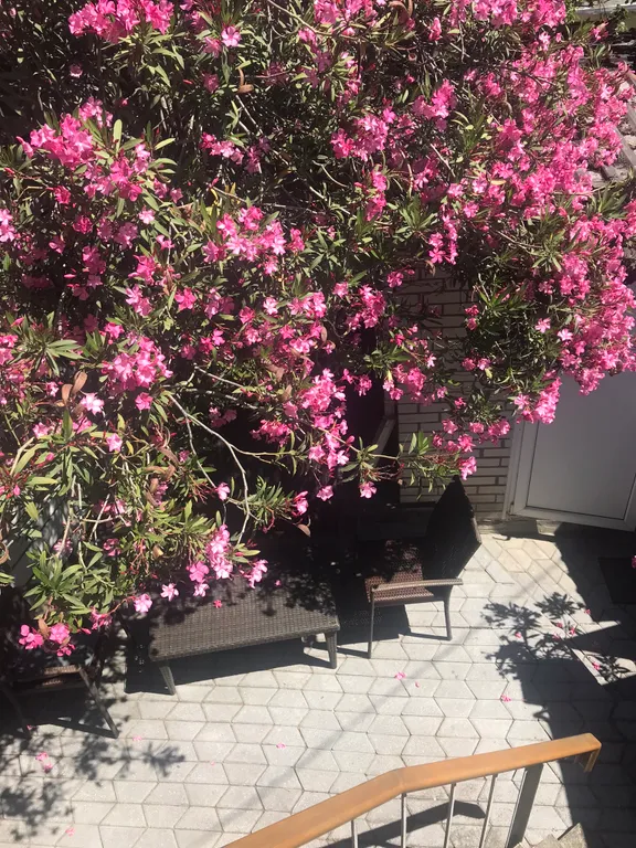 Домик у моря