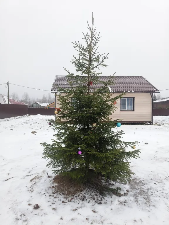 Уютный домик с сауной в тихой части города в окружении зелени