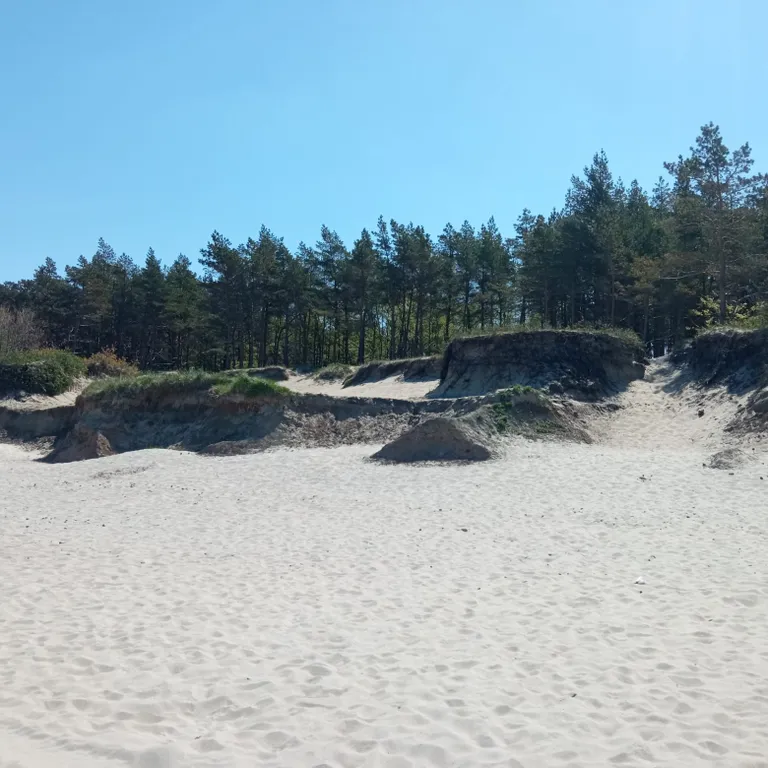 Комфортный дом с баней на дровах