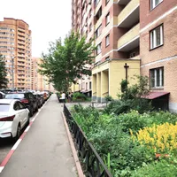 Анфиса