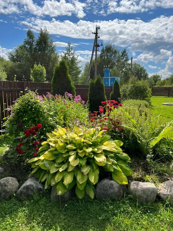 Русский дом с баней на берегу озера