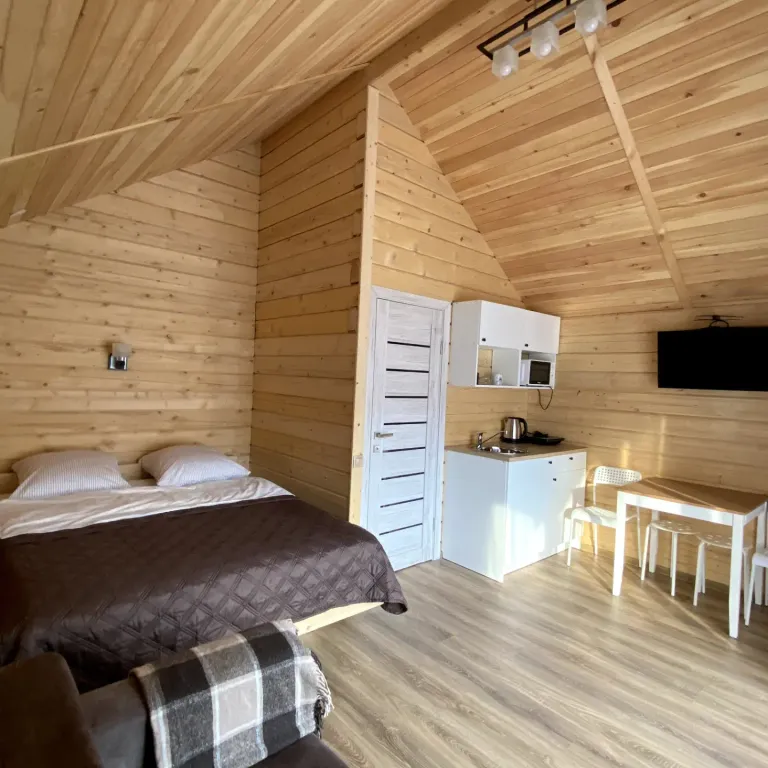 Дом-студия в селе Чемал