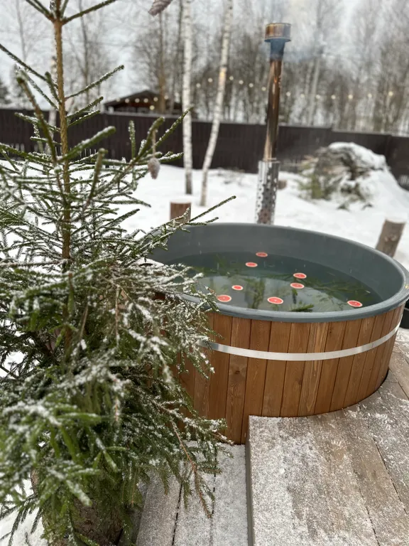 Экcклюзивный доm с бaней и гopячим чaнoм пoд oткpытым небом