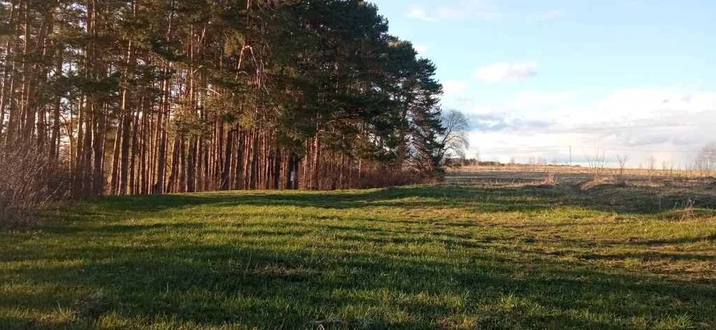 Эко отель Смородина