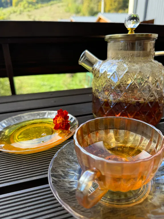 Апартамент 2 этаж с видом на горы - прекрасное место для отдыха