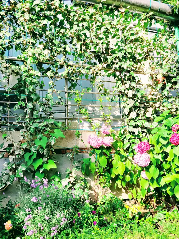 Мини-студия в центре недалеко от моря