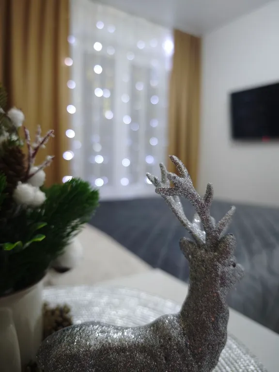 Городская дача