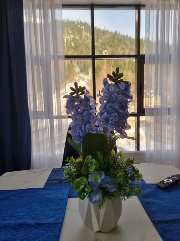 Апартамент с панорамными видами на горы