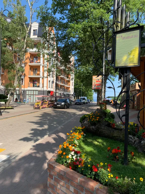 Квартира 1-комнатная Квартира — Светлогорск