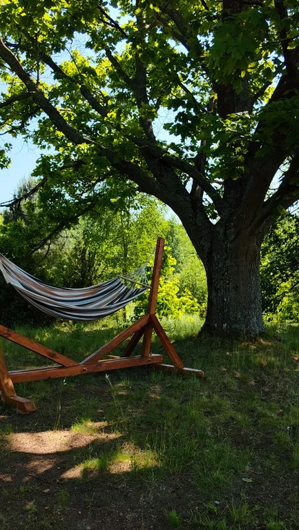 Дом в Беловежской пуще