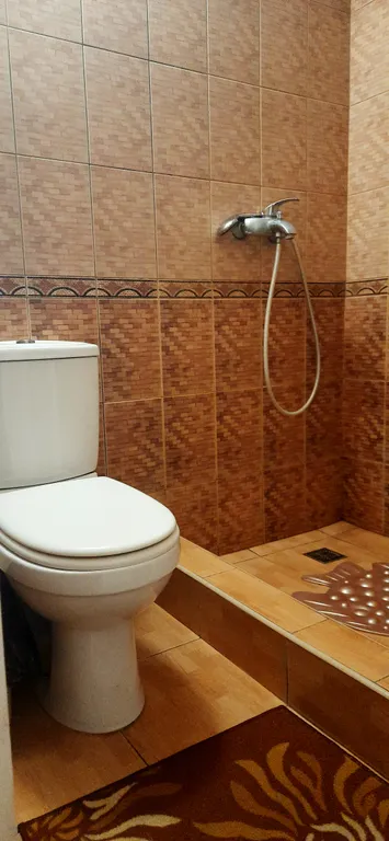 Просторный  дом в исторической части города, уютный сад