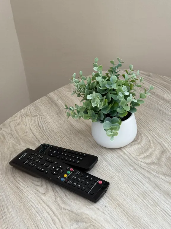 Квартира с евроремонтом