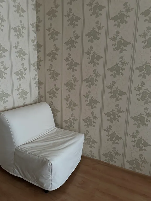 Большая однокомнатная квартира у парка