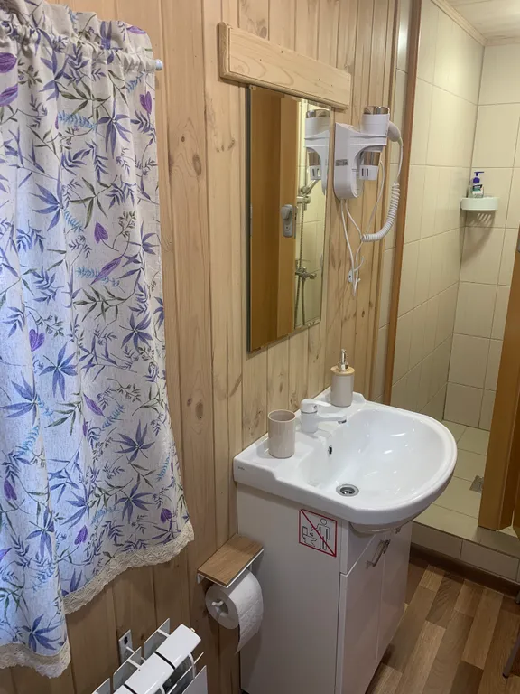 Дом Лебедевых