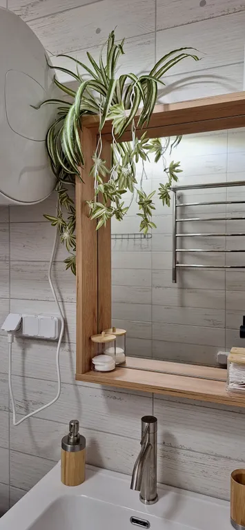 Домик в центре нац. парка Беловежская пуща