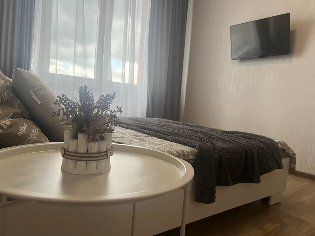 Новая уютная евродвушка с шикарным видом на город и пруд