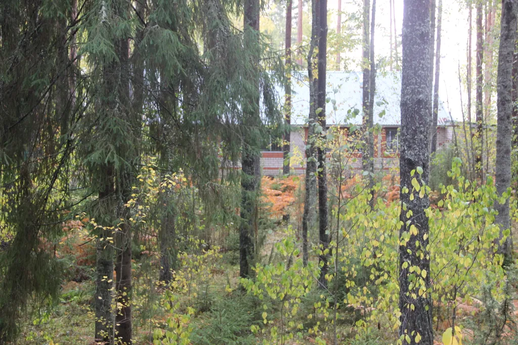 Гостевой дом на берегу озера Отолово