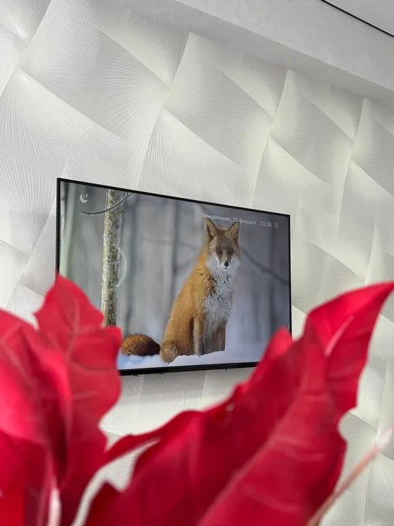 Новая квартира в садовом