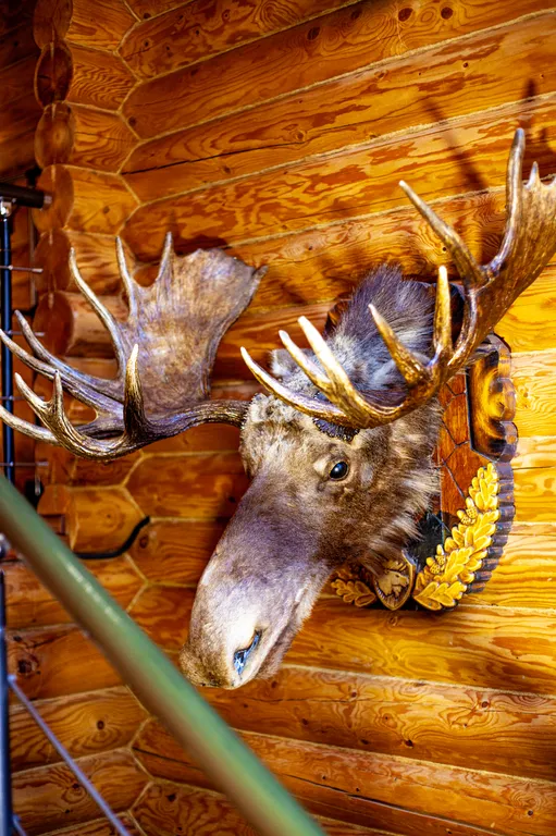 Гостевой дом Hunter house