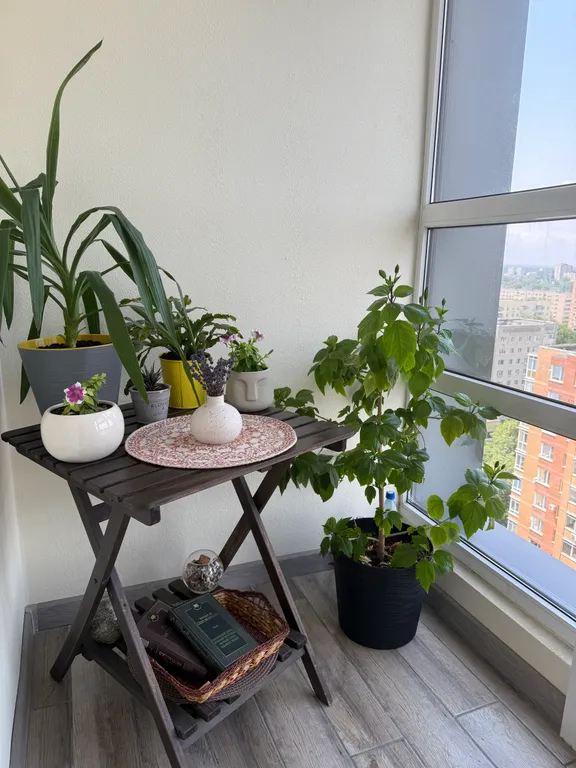 Стильная видовая студия в центре города