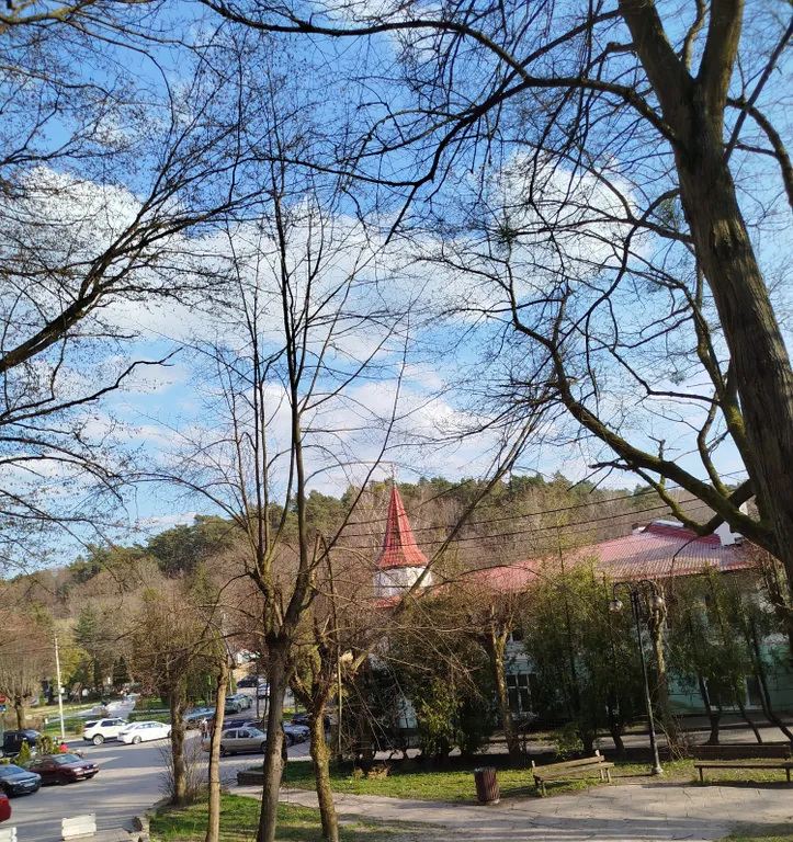 Квартира Уютная квартира недалеко от моря — Светлогорск