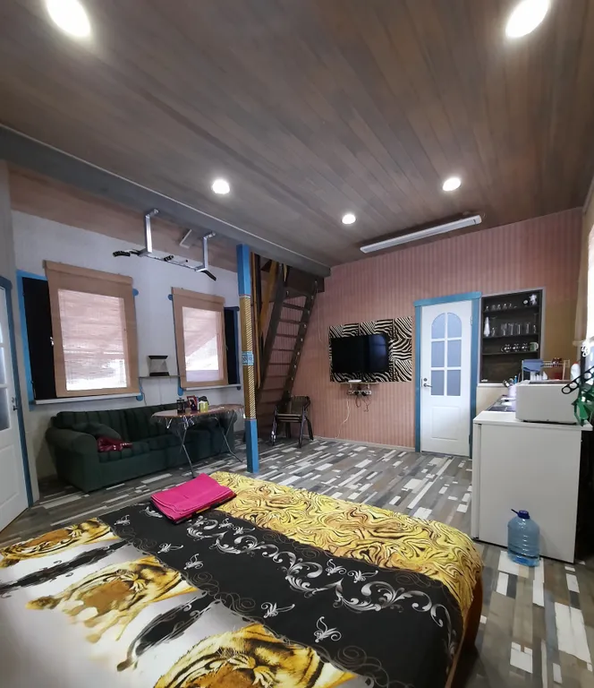 Дом-студия у Монрепо