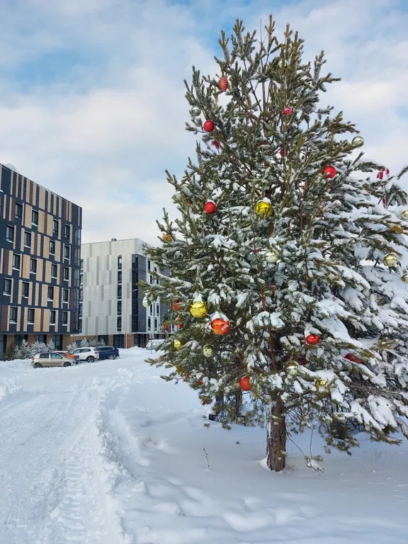 Уютная квартира с панорамными окнами в центре Иннополиса