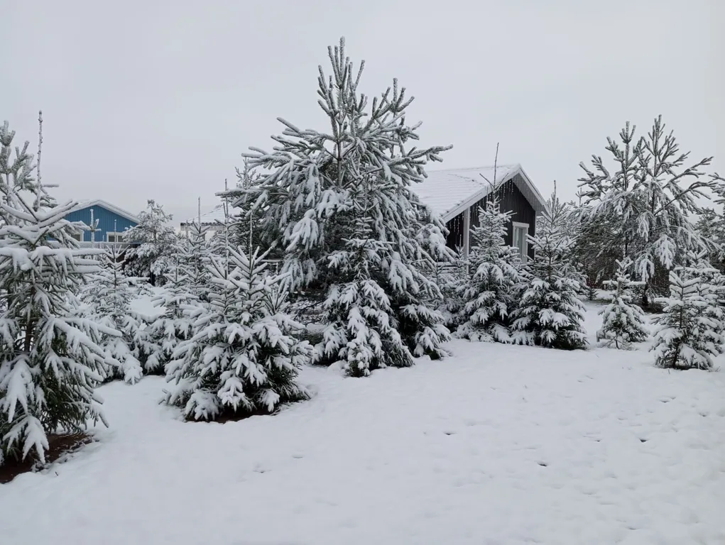 Коттедж Уютный дом у озера — Волосово