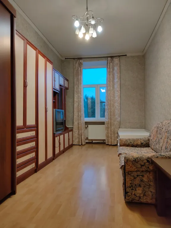 Большая квартира у Смольного и Клиники Прогноз Малютка