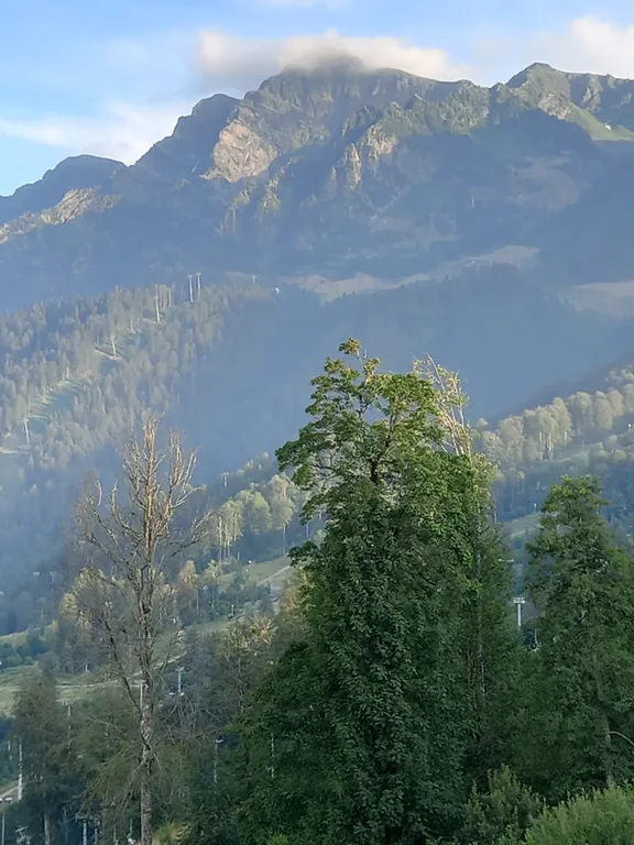 Квартира Комната с видом на море — Сириус