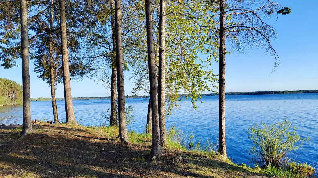 Коттедж Коттедж с баней, чаном и детской площадкой с батутом у озера, в бору — Ланино