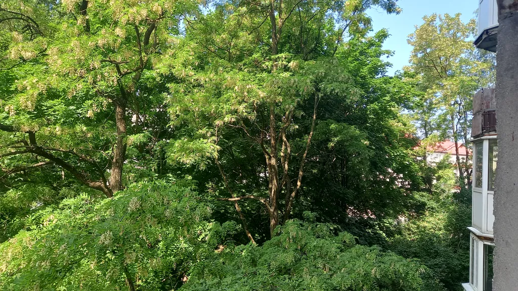 Квартира в центре города у Нижнего пруда - исторический центр