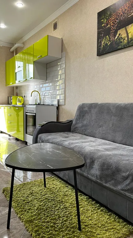 Квартира Уютная идеально чистая квартира — Владикавказ