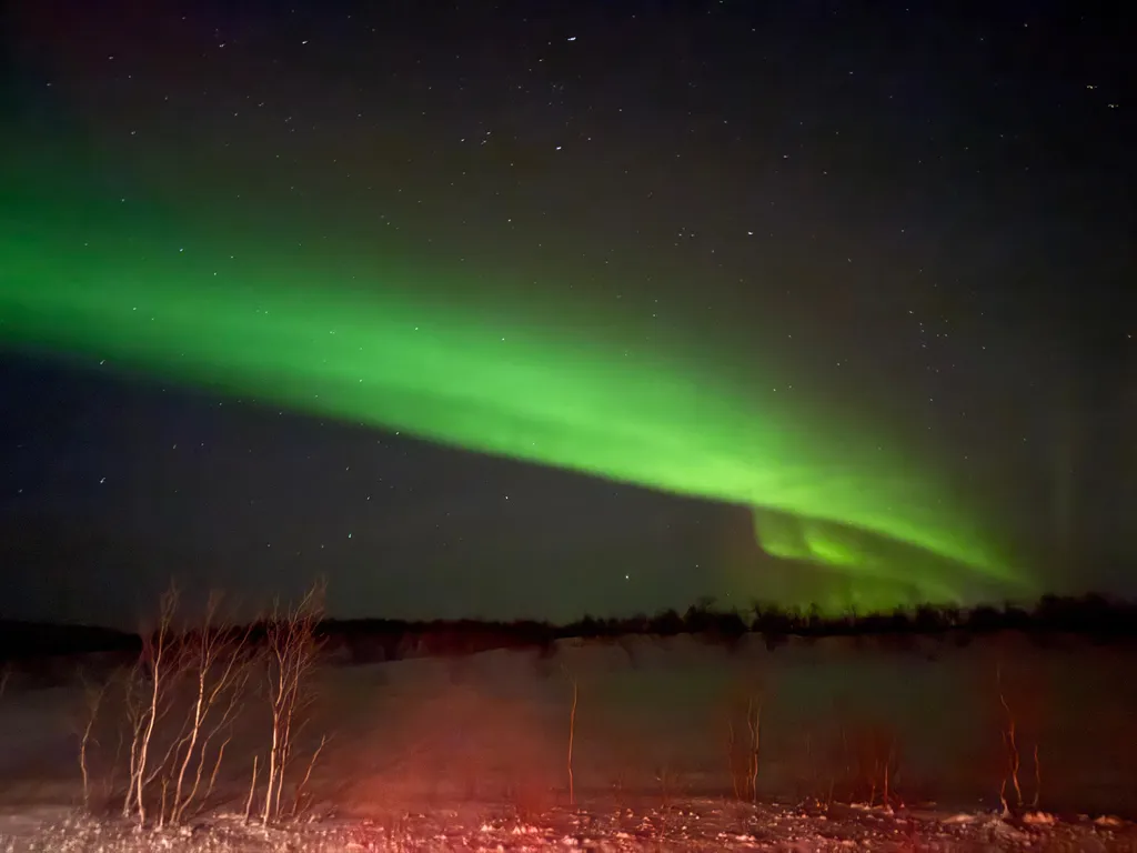 Апартаменты у белого кролика