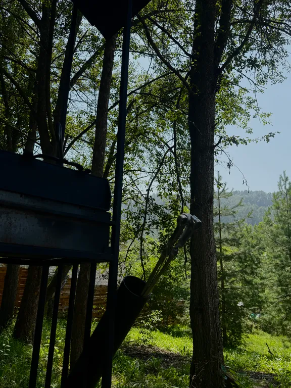 Уютный домик с купелью и баней в сосновом лесу