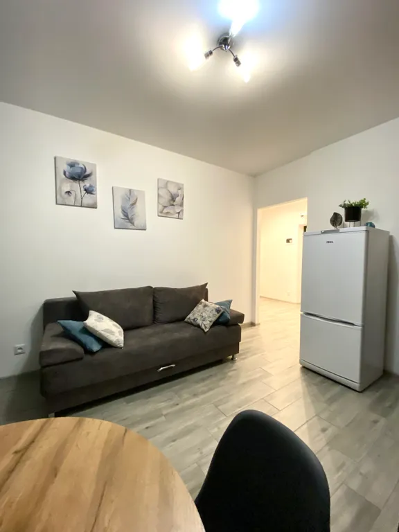 Большая, уютная квартира для отдыха в новом бизнес ЖК