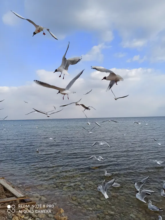 Двухкомнатный люкс с видом на море